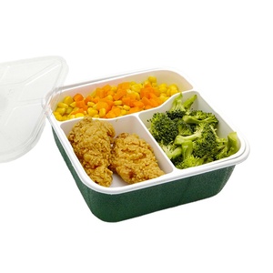 Source Factory Customization Microwable Plastic Disposable square Food Takeaway Tiffin Box with 3 Compartment