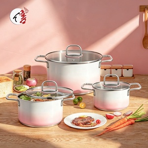 Realwin Stainless Steel 6Pcs Cookware Set with Color Coating